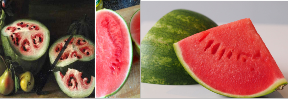 GMO Watermelon